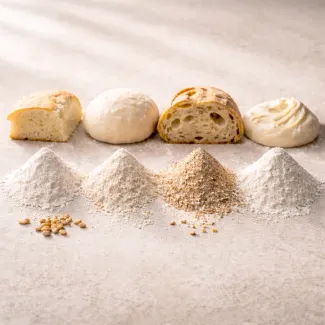 Primerjava tipov moke in struktur testa z jasno vidno sredico kruha