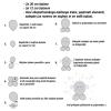Komplet  iz Balonov Prikupni PIŠČANČEK
